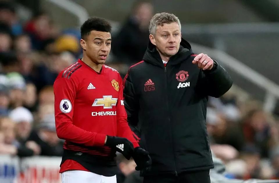 的商业合作 的商业合作